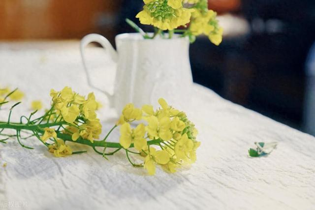 有唯美意境的句子,让人一看就沦陷