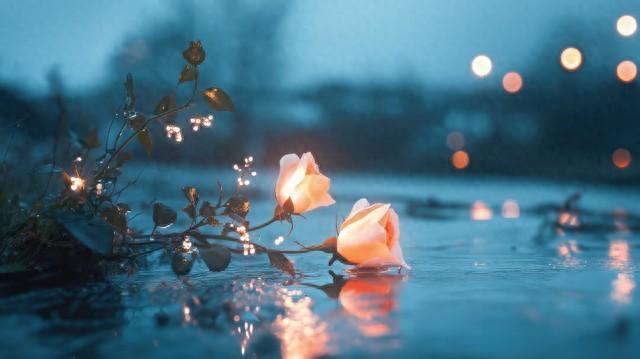 50句电影告白台词，一句甜到颅内发麻