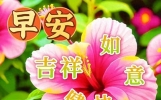 早上好温馨问候语大全，精选早安祝福短语，愿你每天都快乐幸福