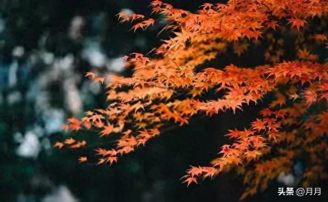 跟善良的人做朋友，就算翻脸也有底线