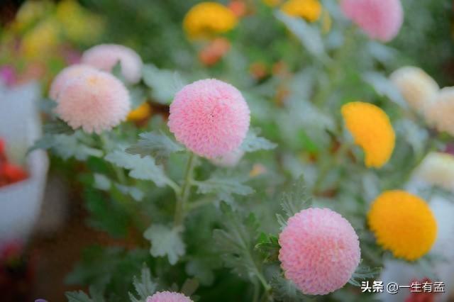 我们相遇是我最大的财富一个懂你的人和一个你懂的人胜过千言万语