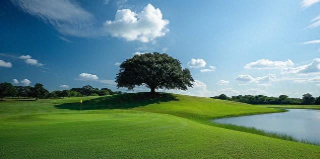 隔朋不交友——不要把你的人脉，介绍给你所谓的好朋友