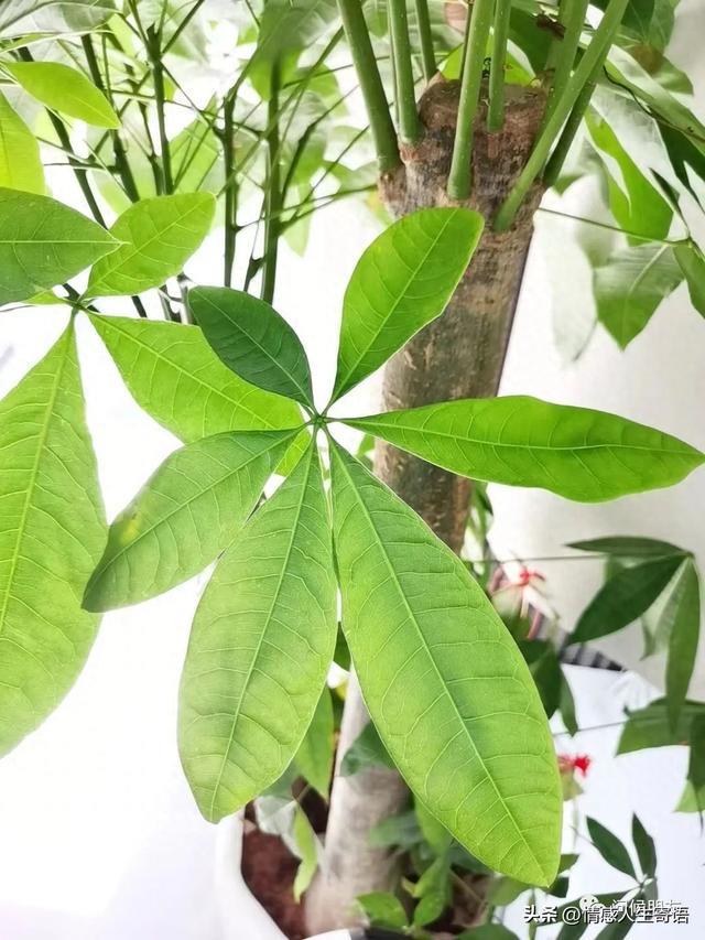 简短而有深意的句子，高质量朋友圈文案短句