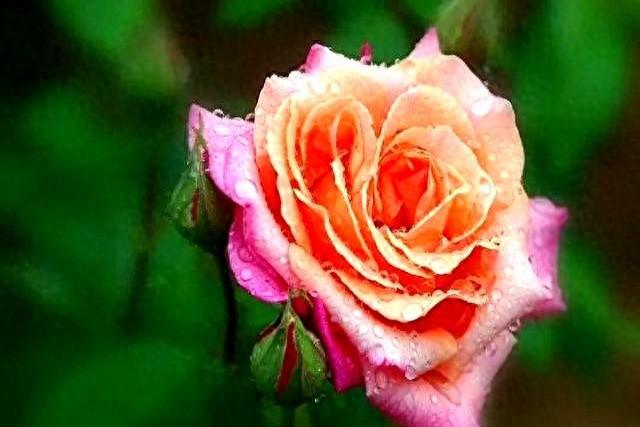 男女之间，这几种迹象，说明关系早已不一般