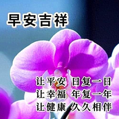 6月23日早安祝福短语，发朋友圈的心情短句，祝福让我们快乐安康