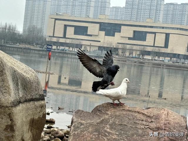 情感故事：五十岁的她遇到了晚来的缘分