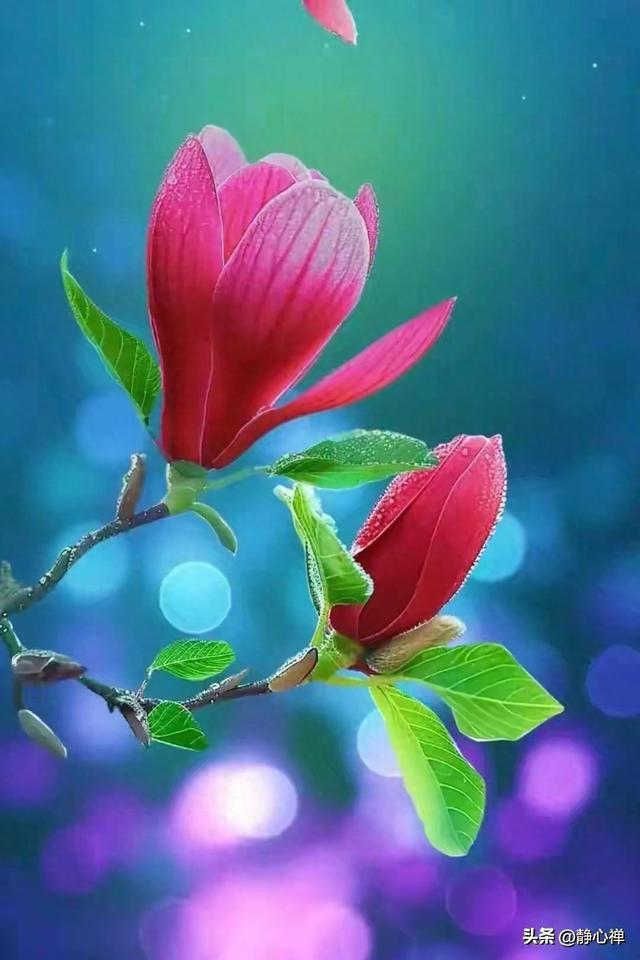 寥寥几句，说说人生那些事！21句简短的句子，最有力量