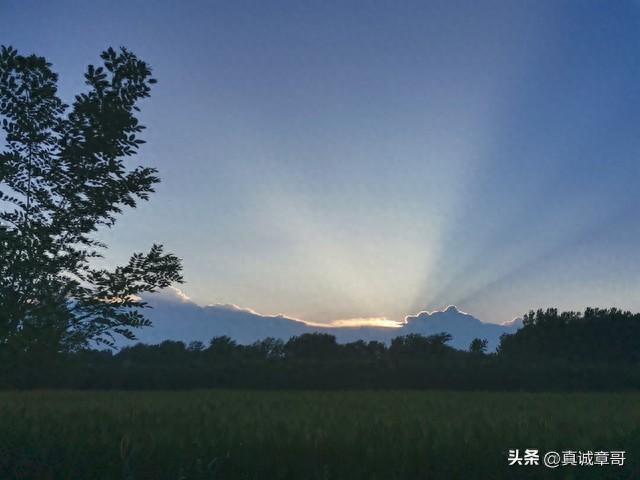 老头子的散文：《给朋友的一封信》