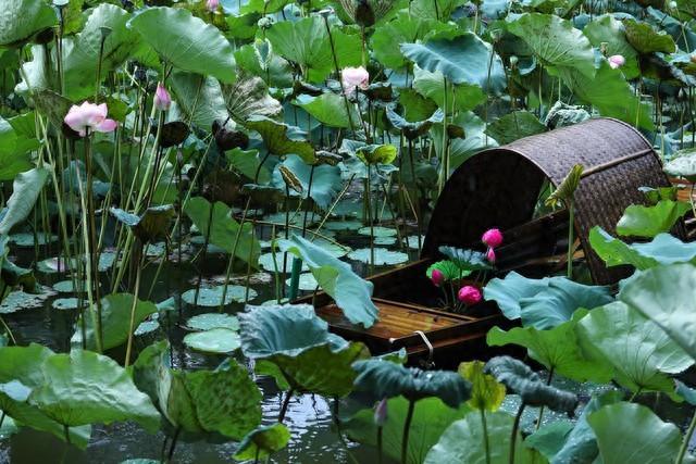 10首绝美诗词，每一句诗都是一幅画，诗情画意，美到极致