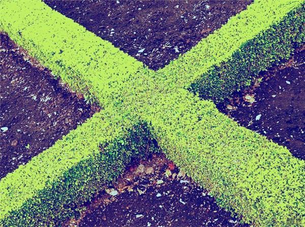 一生应该读一次的经典句子，道理深刻，激励人生