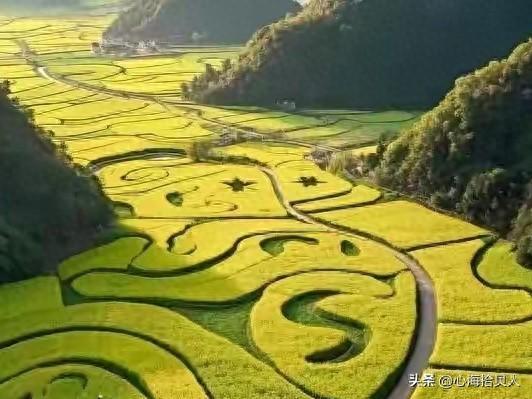 情感爆文：新的一年，愿心中有梦想，生活有期待，快乐好运同在