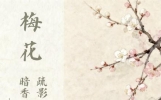 春花与诗词