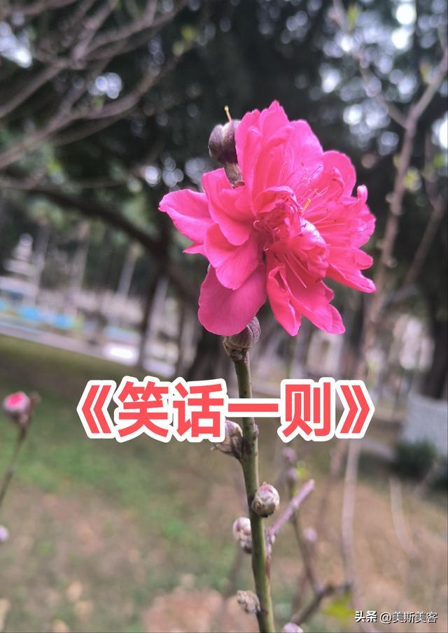 《笑话一则》2026.3.16夫妻问答