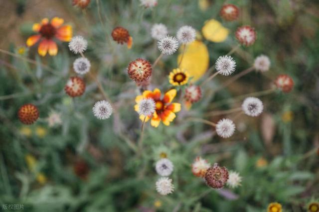 值得分享的15条人生经典句子，句句入心！