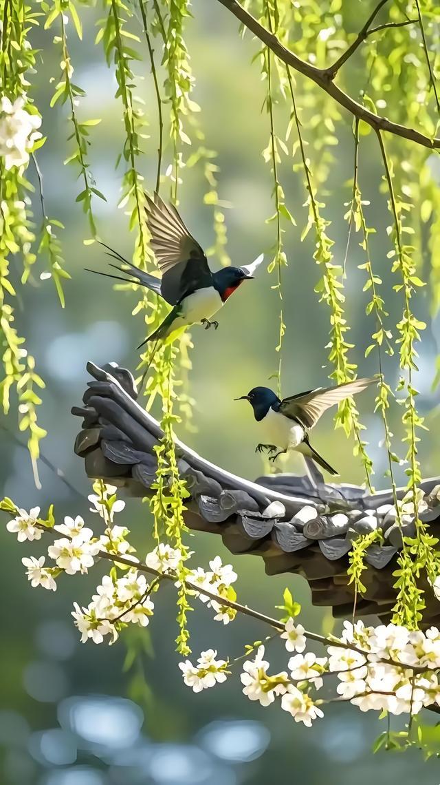 诗词里10首经典的杨柳春风，唤醒了春天，是否也唤醒了你的心？