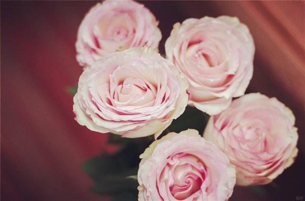 一个人心里难受的伤感爱情说说句子，句句痛到骨子里