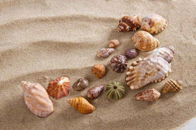 朋友之间，不管关系多好，都得在这三件事上“装哑”