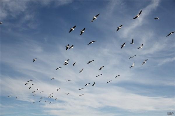 超干净超励志的句子人生只有一次，不要总演配角