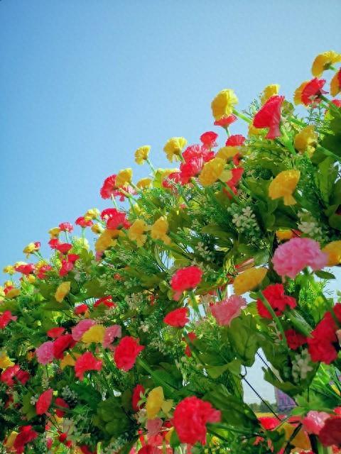 12句正能量励志的句子，句句积极向上，句句给人力量和光芒