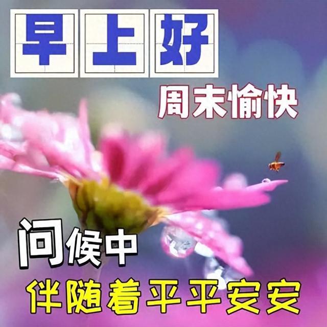 今日最新早上好温馨问候语，暖心经典的早安祝福，浓浓心意到