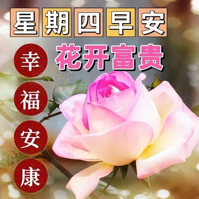 上午好清雅图片，早上好特别暖心祝福句子，问候传递，幸福涟漪