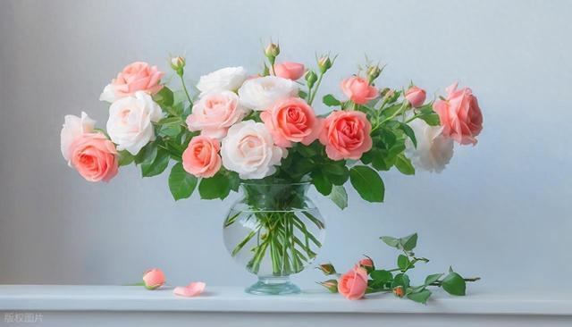 唯美得像诗一样的句子，条条精致如画！