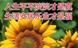 非常温馨早安祝福语短信大全 早上好图片带字带祝福语