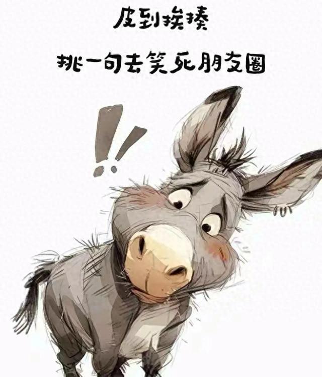 11个爆笑小笑话！看完笑到拍大腿