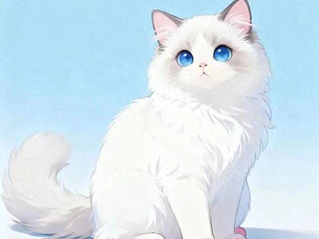 十六个爆笑段子，看完笑到停不下来