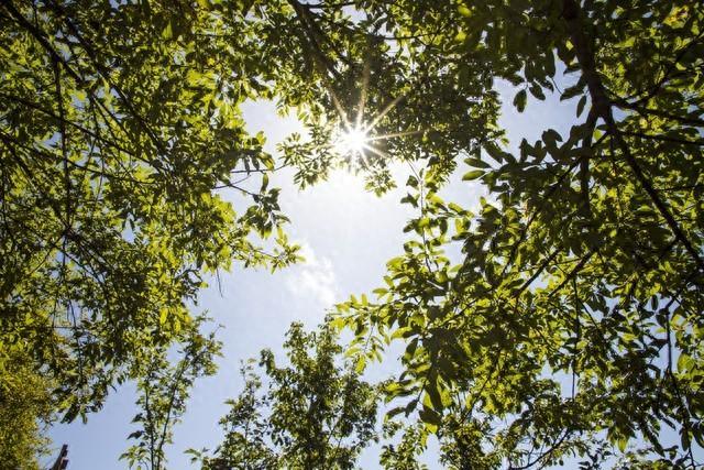 20句积极向上的正能量句子，简短精致，句句激励人心