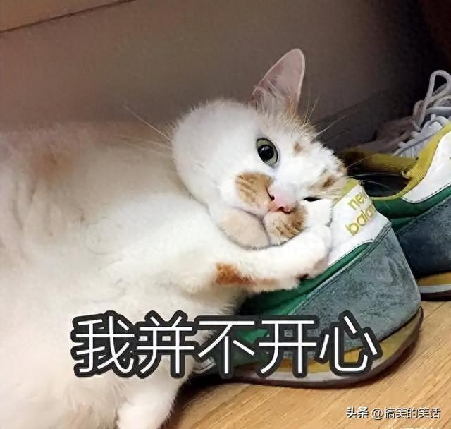 笑到肚子疼！8个真实段子，看完一天都开心