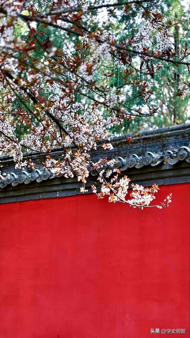 精选史上最高水平的30首经典诗词，感受中国诗词巅峰之作