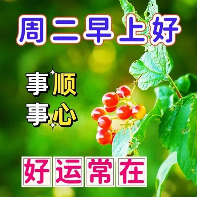 最新精辟早上好祝福语，知心好友清晨问候语，轻声问候情意长