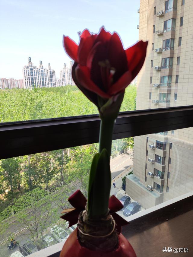 经典10句话，适合任何人，越读越通透