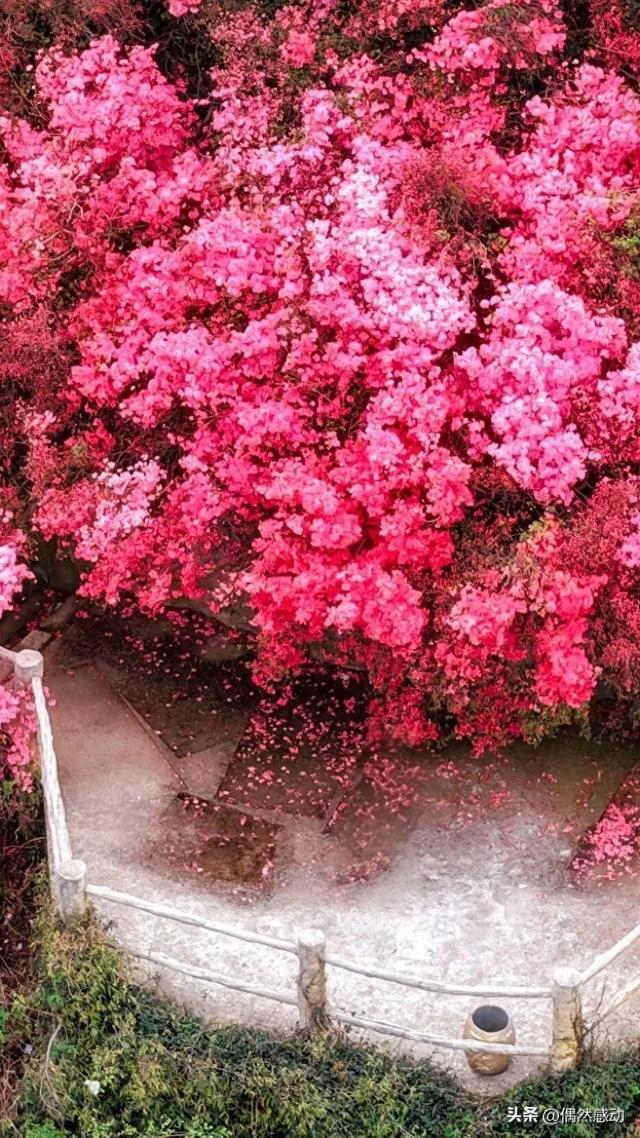 去了趟武汉云雾山，实在忍不住想说：对云雾山的5点印象！