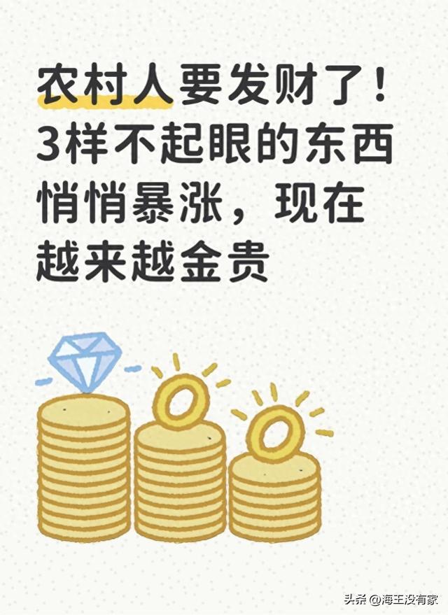 农村人要发财了！3样不起眼的东西悄悄暴涨，现在越来越金贵