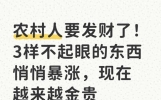 农村人要发财了！3样不起眼的东西悄悄暴涨，现在越来越金贵