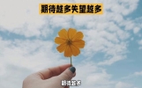“等待越多，失望越多”——心灵鸡汤，点亮生活