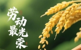 早安问候句子，收藏起来吧！让你的朋友圈文案每天不重样！