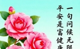 5月6日早安的简短唯美句子，暖心牵挂问候语，朋友如福，吉祥无边