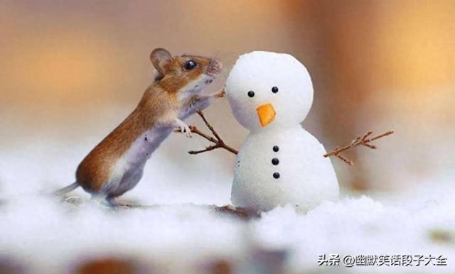 16个刚出炉的幽默笑话，都是经典段子，看完笑到疯狂，笑到捶床