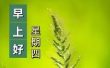 早上好简短唯美句子，开开心心过好每一天，好运常伴左右
