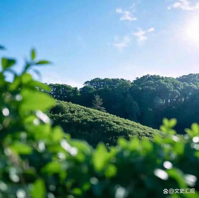 知微雅集：精选18首古人绝句，赏山川清景，慰浮生知心