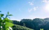 知微雅集：精选18首古人绝句，赏山川清景，慰浮生知心