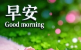 早上好问候暖心的精美句子，句句温暖走心，愿您幸福永远年轻，每日皆欢颜！