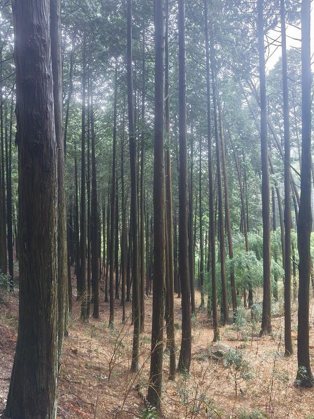 说说交朋友的话题
