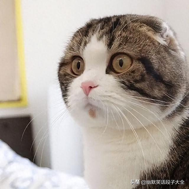 热门笑话：笑不活啦！这13个笑断气的极品幽默笑话，能把人笑岔气