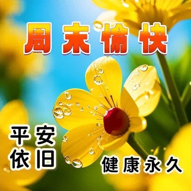 早安吉祥精美图片，早上好的简短唯美句子，共享美好的时光