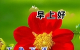5月16日早安吉祥健康问候语，简短唯美早安句子，祝你心想事成