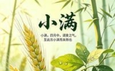 糊涂老太太刷新闻才知节气到，小得盈满最是心安